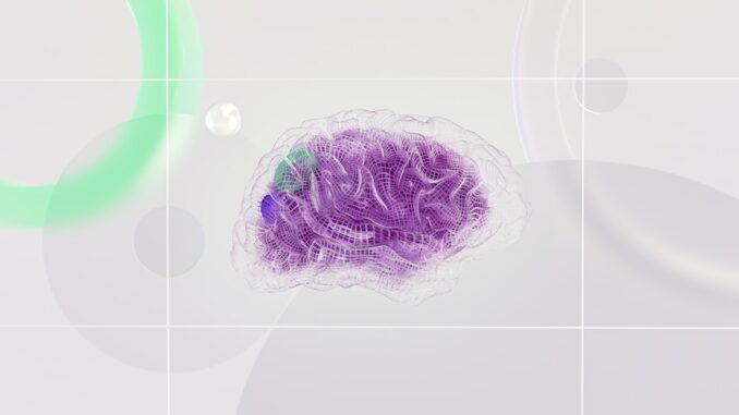 CImages1e91db53-4a53-47bc-af11-d6eb28826d99
