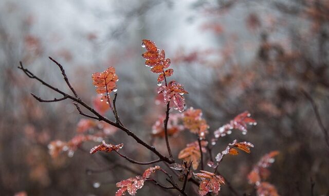 CImages383478e3-a796-46b0-8ada-96775782c1f4